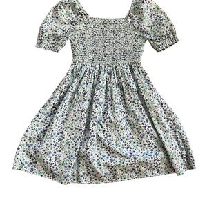 Crewcuts Floral Blue and White Dress